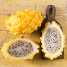 Pitahaya Dragon Fruit Pitaya fruit (12 pack) Yellow Pitaya Dragon Fruit Yellow Pithaya Dragon Fruit