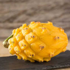Pitahaya Dragon Fruit Pitaya fruit (12 pack) Yellow Pitaya Dragon Fruit Yellow Pithaya Dragon Fruit