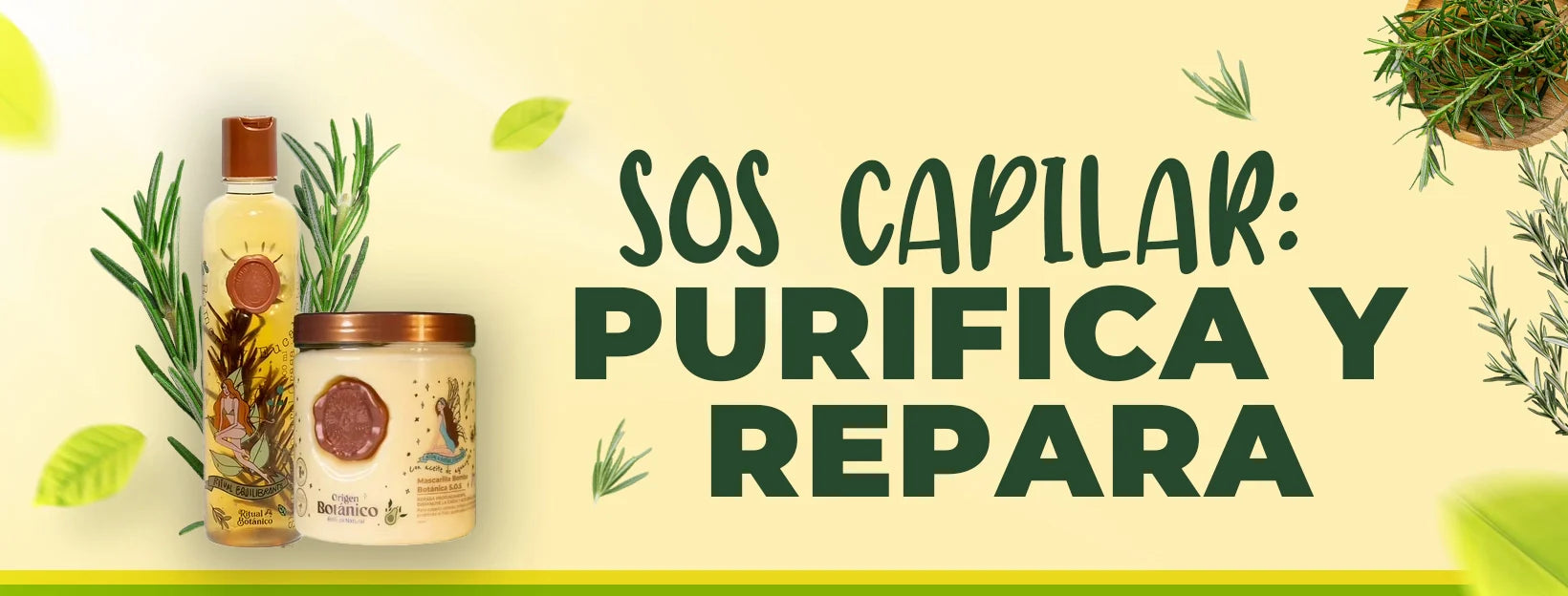 ✨ Ritual Botánico: Controla, Repara y Haz Crecer tu Cabello 🌿