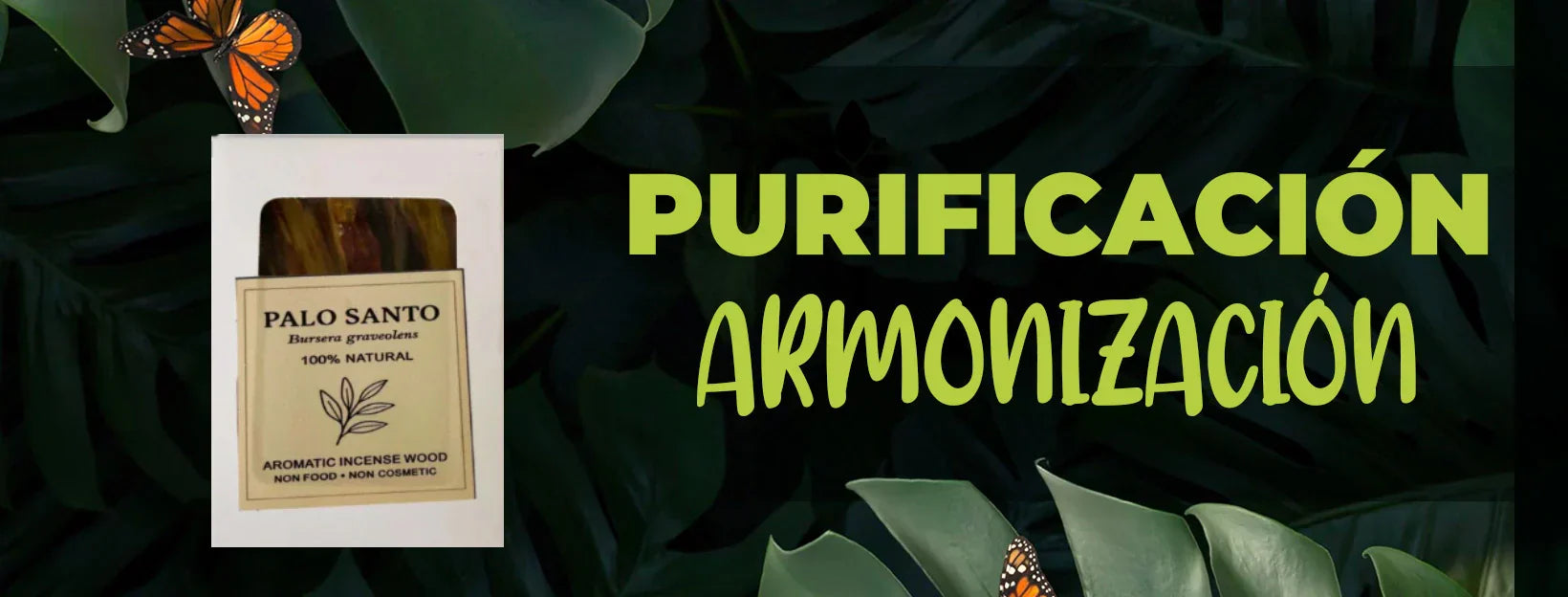 Palo Santo: la madera sagrada para purificar, armonizar y empezar bien