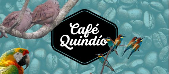 Historia Del Cafe Quindio