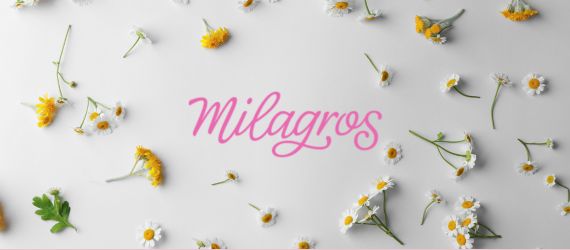Historia De Milagros