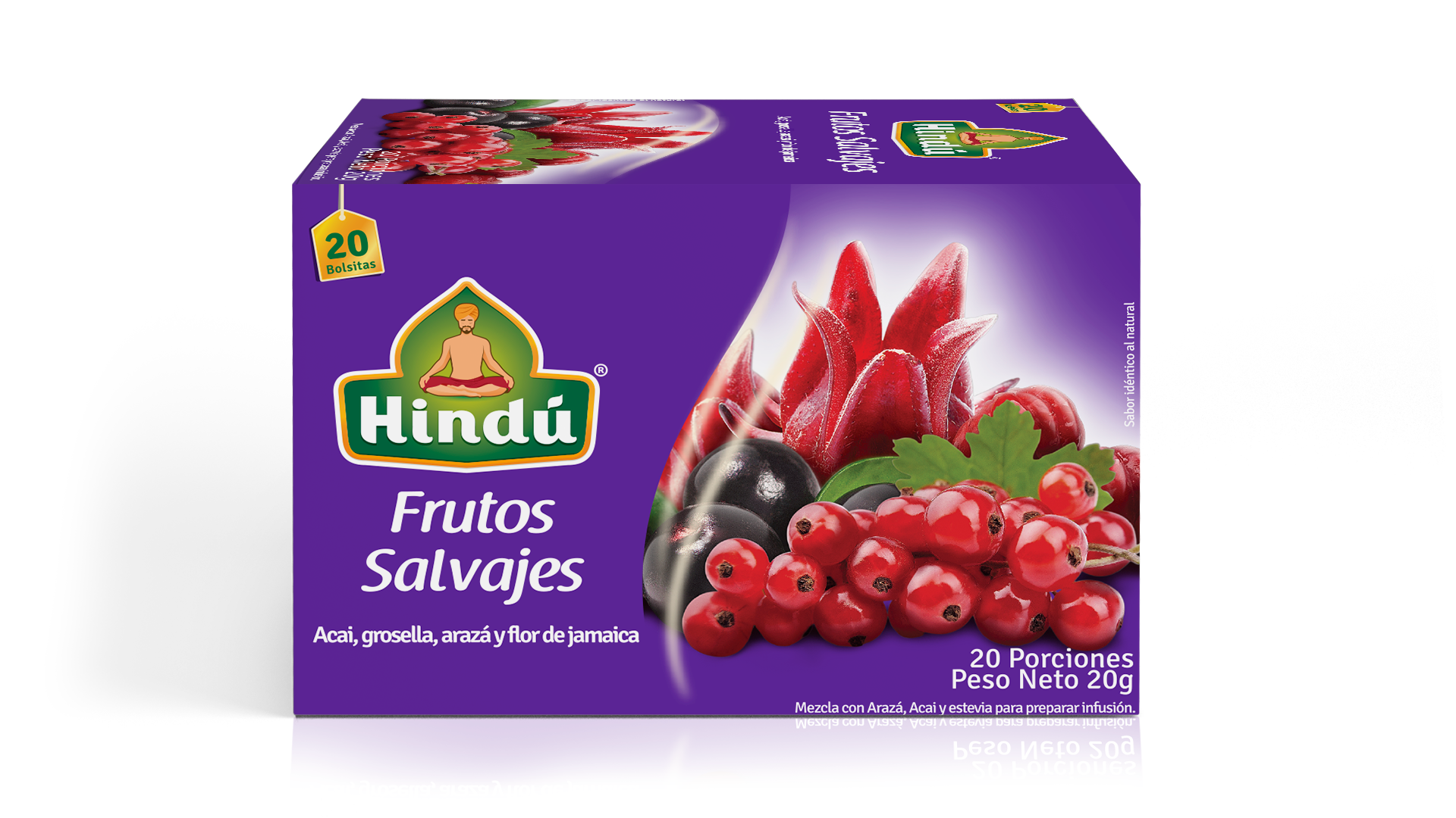 HINDU Fruit Infusion Wild Berries x20