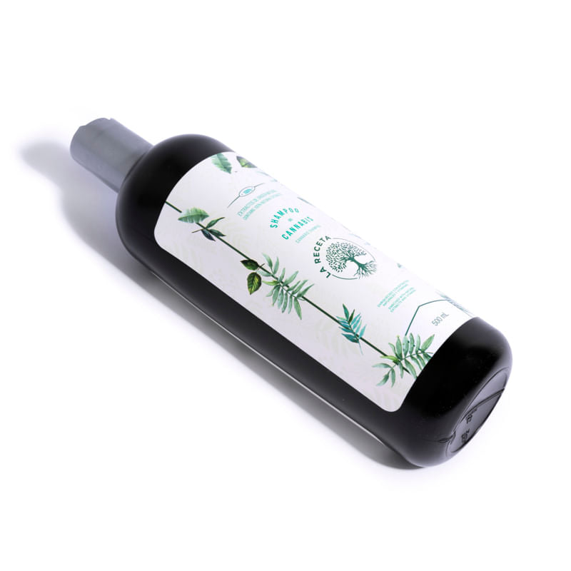 Kaba la Receta Shampoo de Argan Para Cabello Seco x500ml