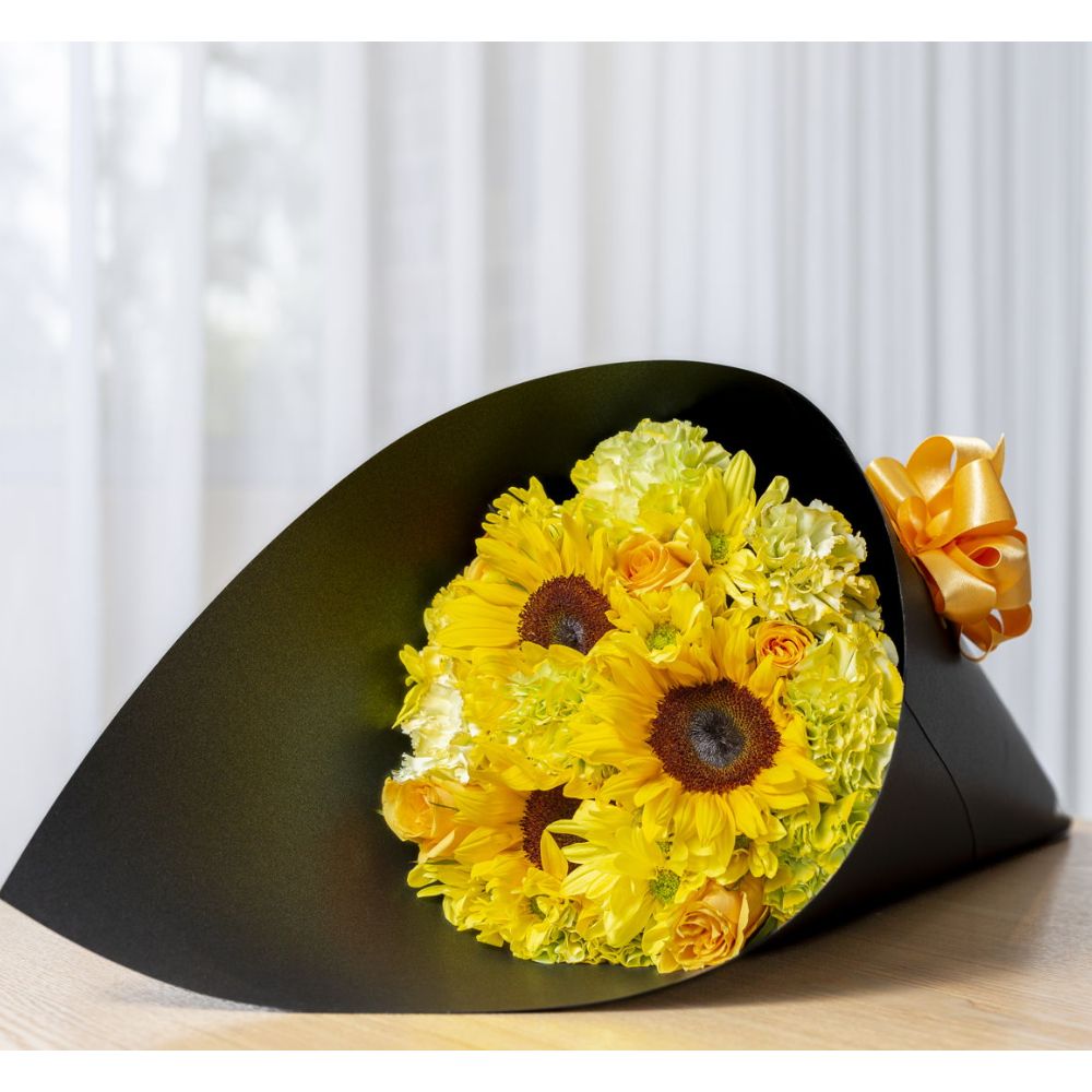 CONO SPRING
