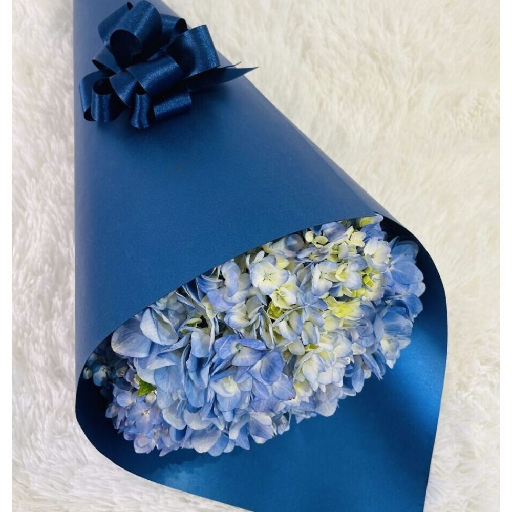 Cono Hortensia