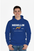 Hoodie “Medellín EST. 1616 – South America”
