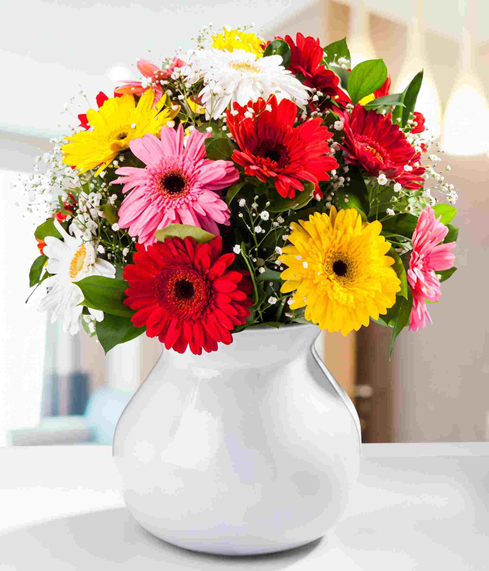 Gerberas en Florero Blanco