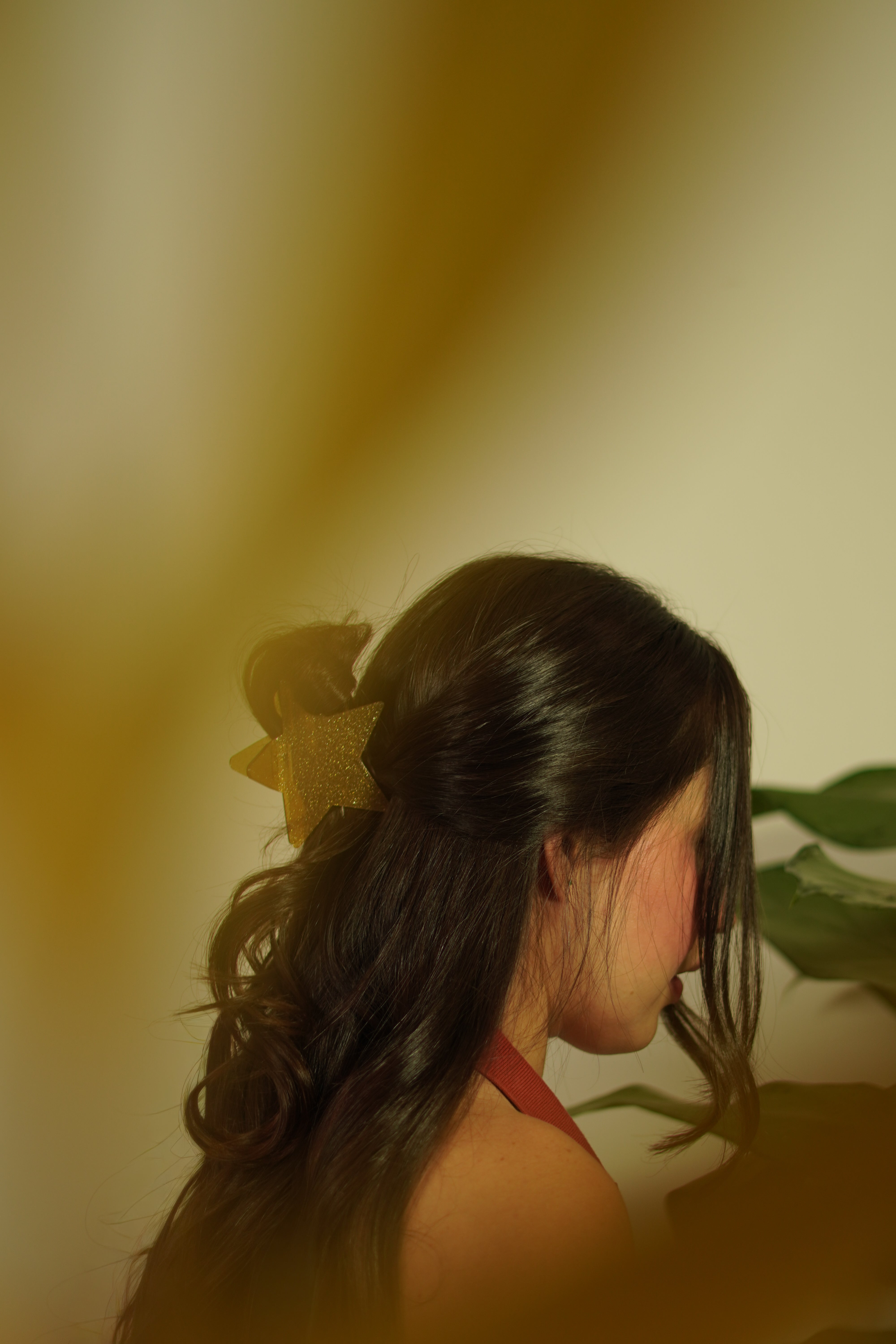 Renesme Hair Clips Vivi (dorada)