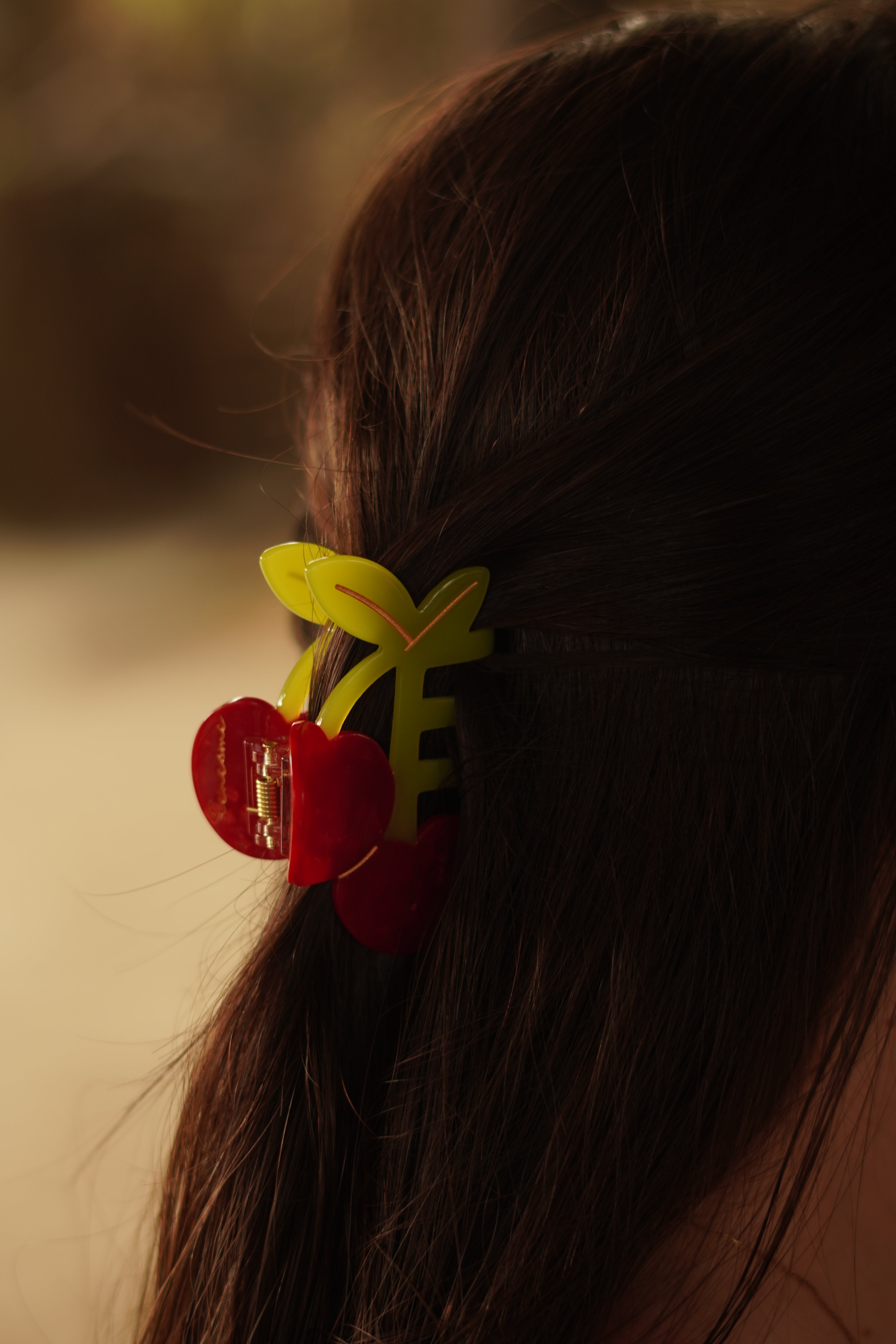 Renesme Hair Clips Cannes