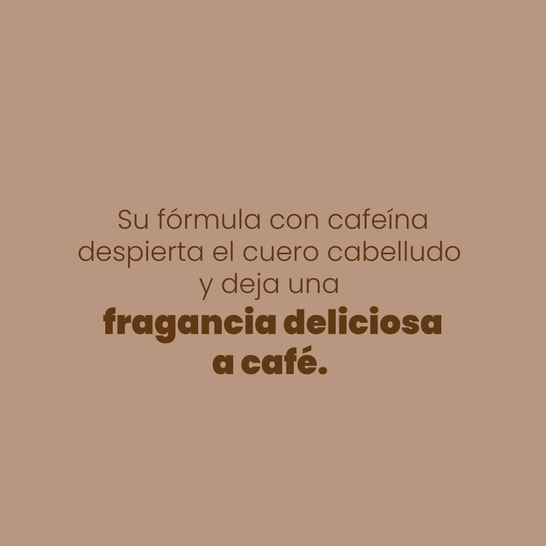 ANYELUZ SHAMPOO CON CAFE x 500ml