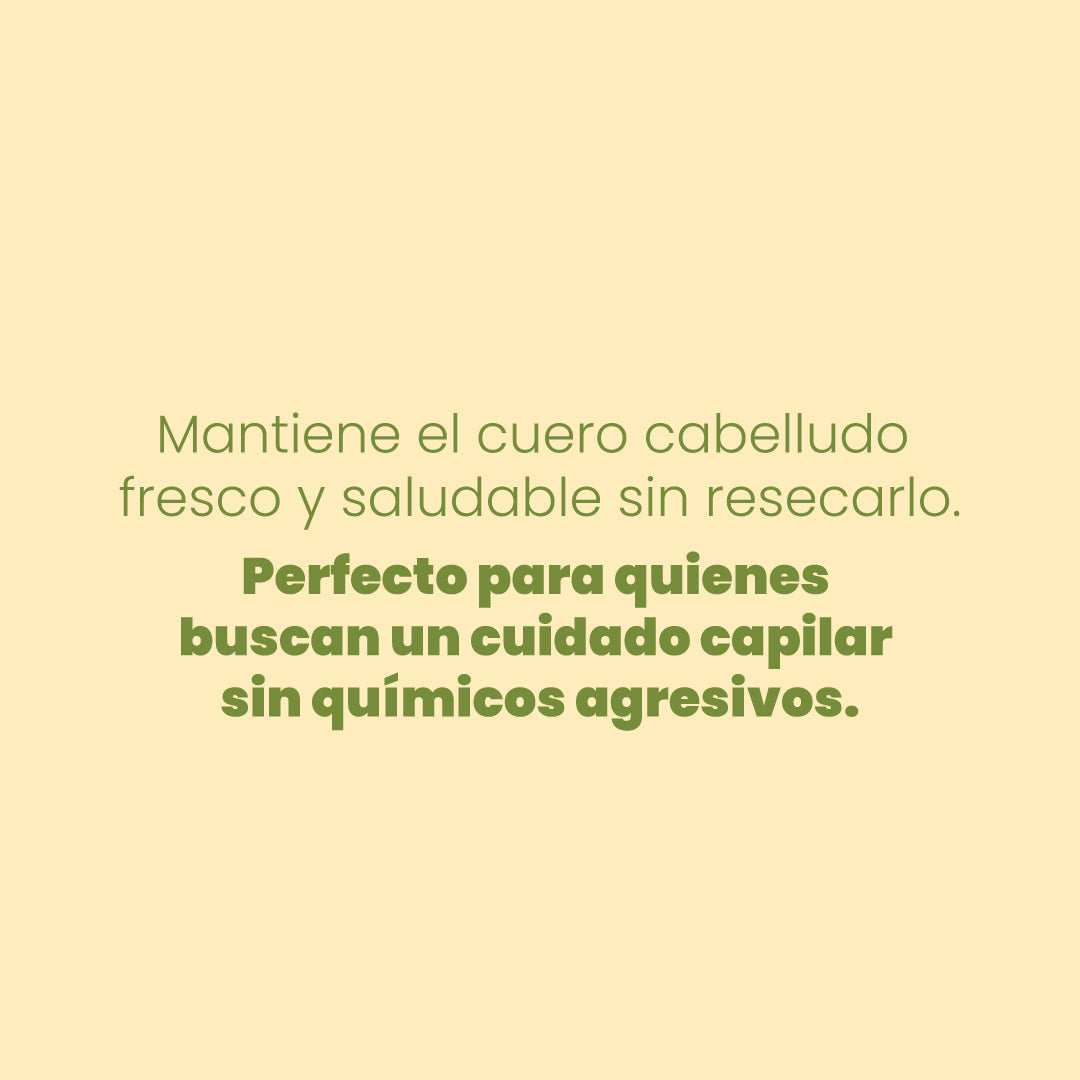 ANYELUZ SHAMPOO CON MANZANILLA x 500ml