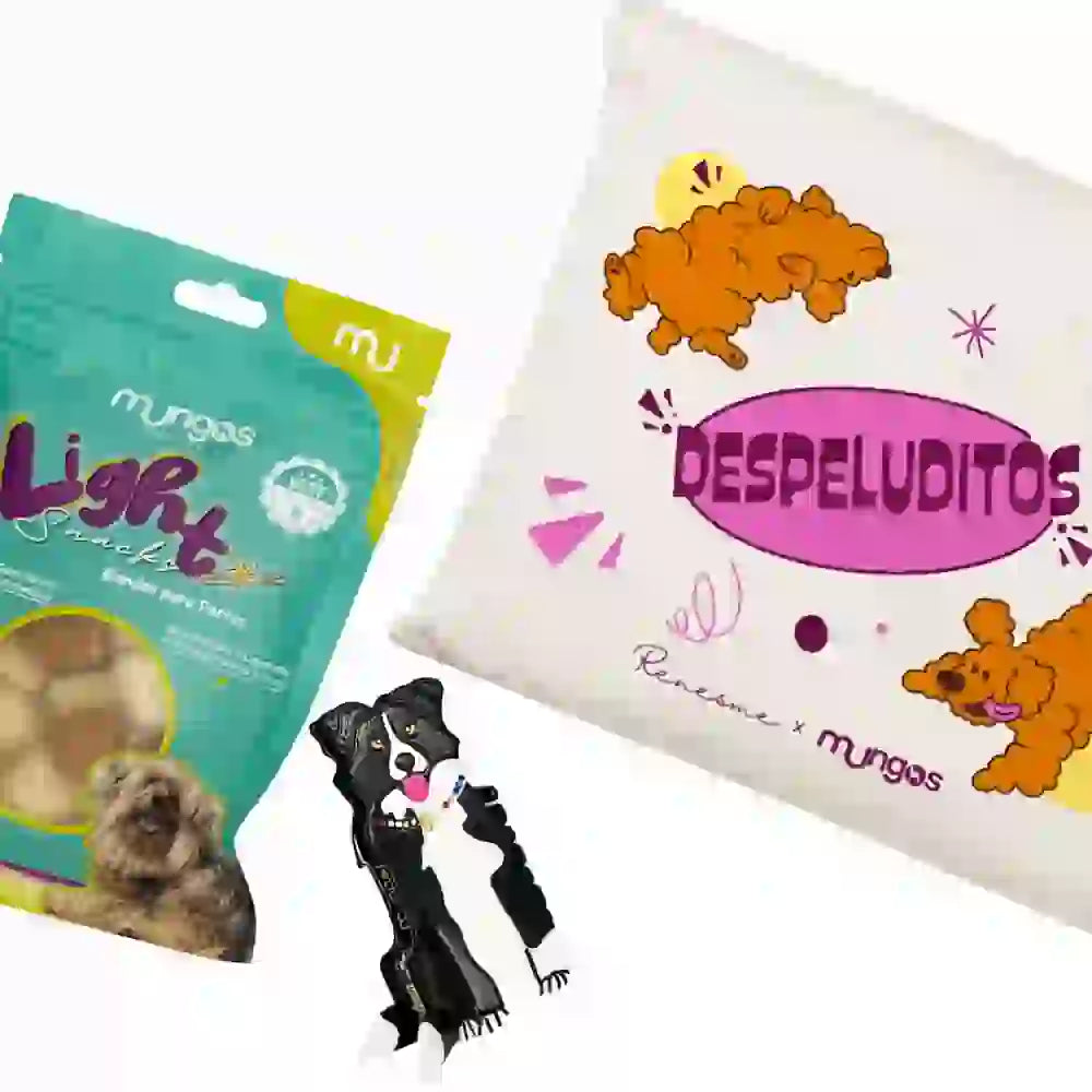 Renesme Hair Clips Rin-Rin Corre-Corre