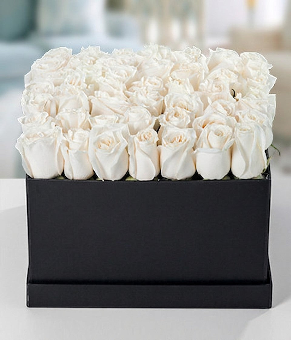 Rosas Blancas en Caja Negra