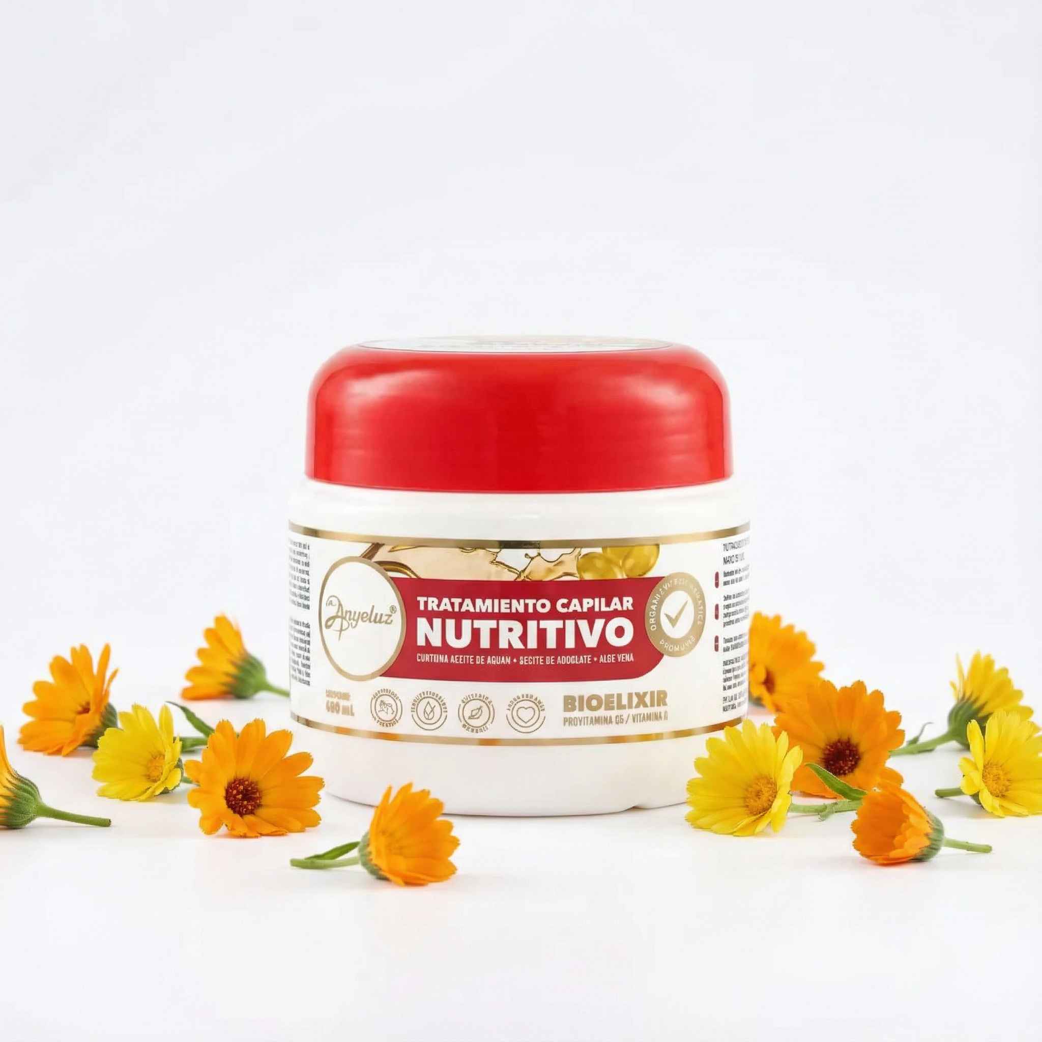 Anyeluz Nutritive Hair Treatment 500mL 