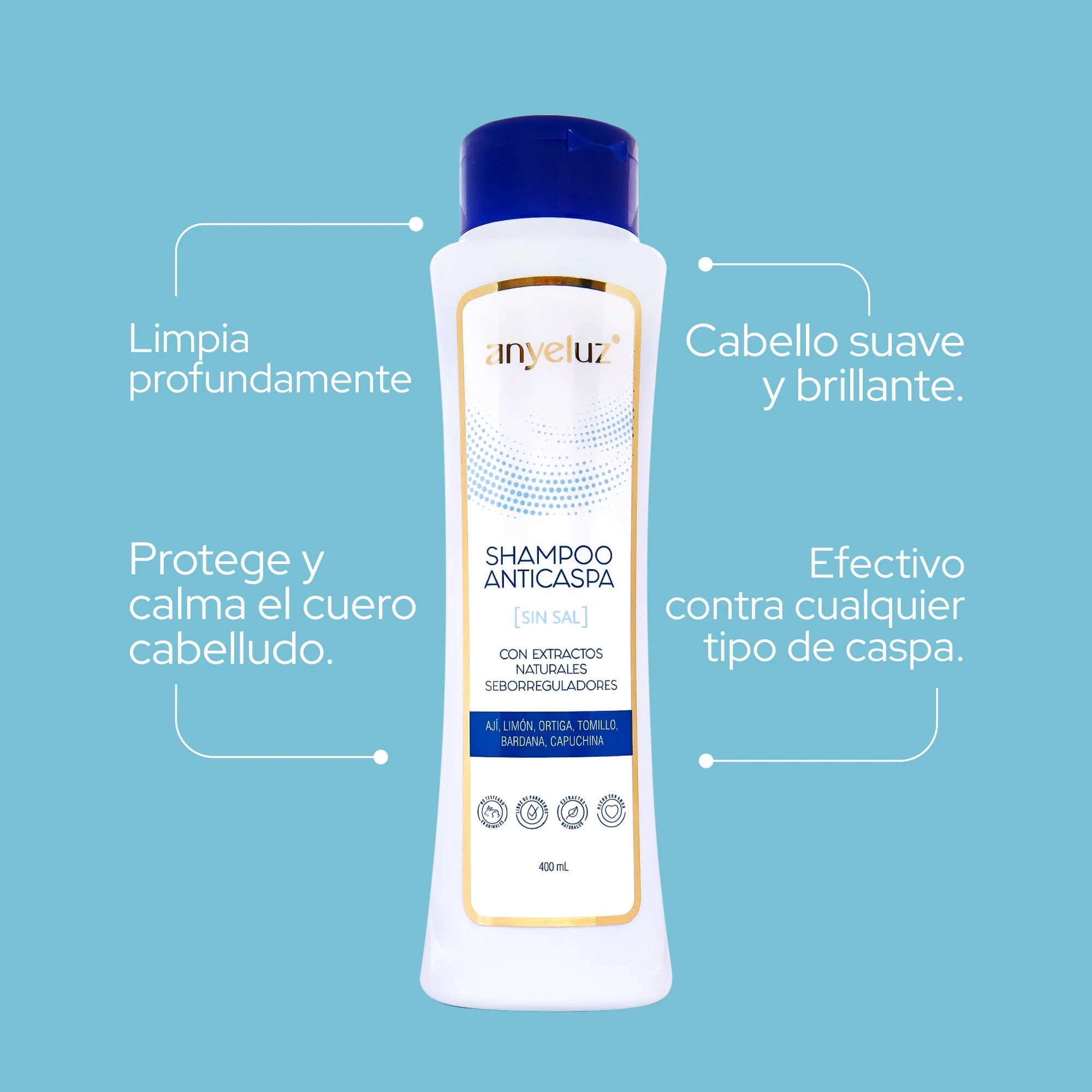 Anyeluz Shampoo Anti Caspa 400mL