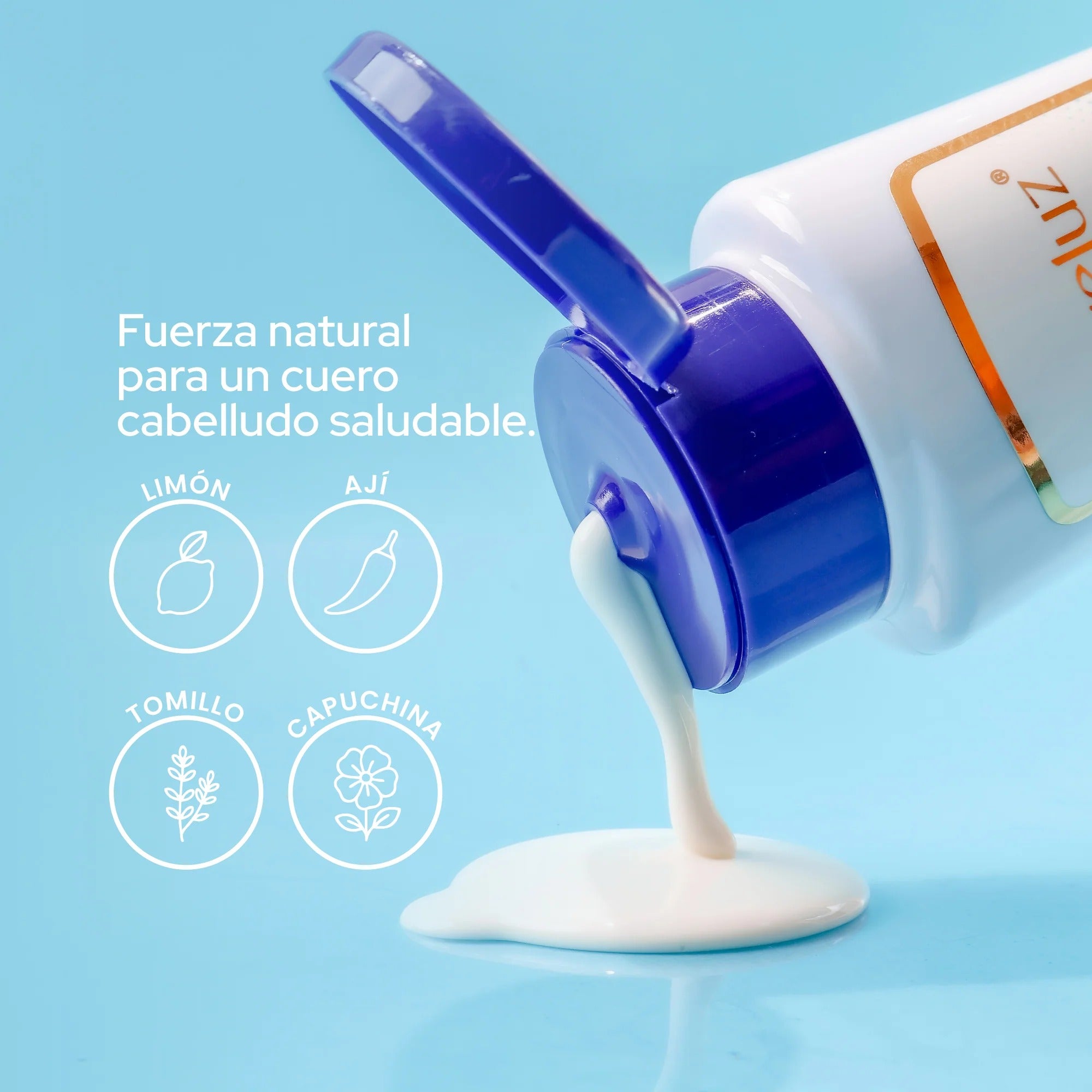 Anyeluz Shampoo Anti Caspa 400mL