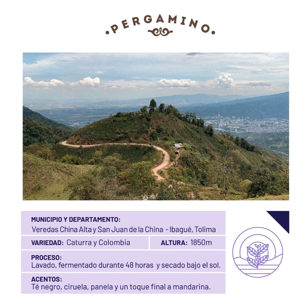 Cafe pergamino en grano entero Te negro Tolima, ciruela, cana de azucar y un toque de mandarina Pergamino Cafe colombiano Cafe en grano entero Cafe colombiano (12.6)