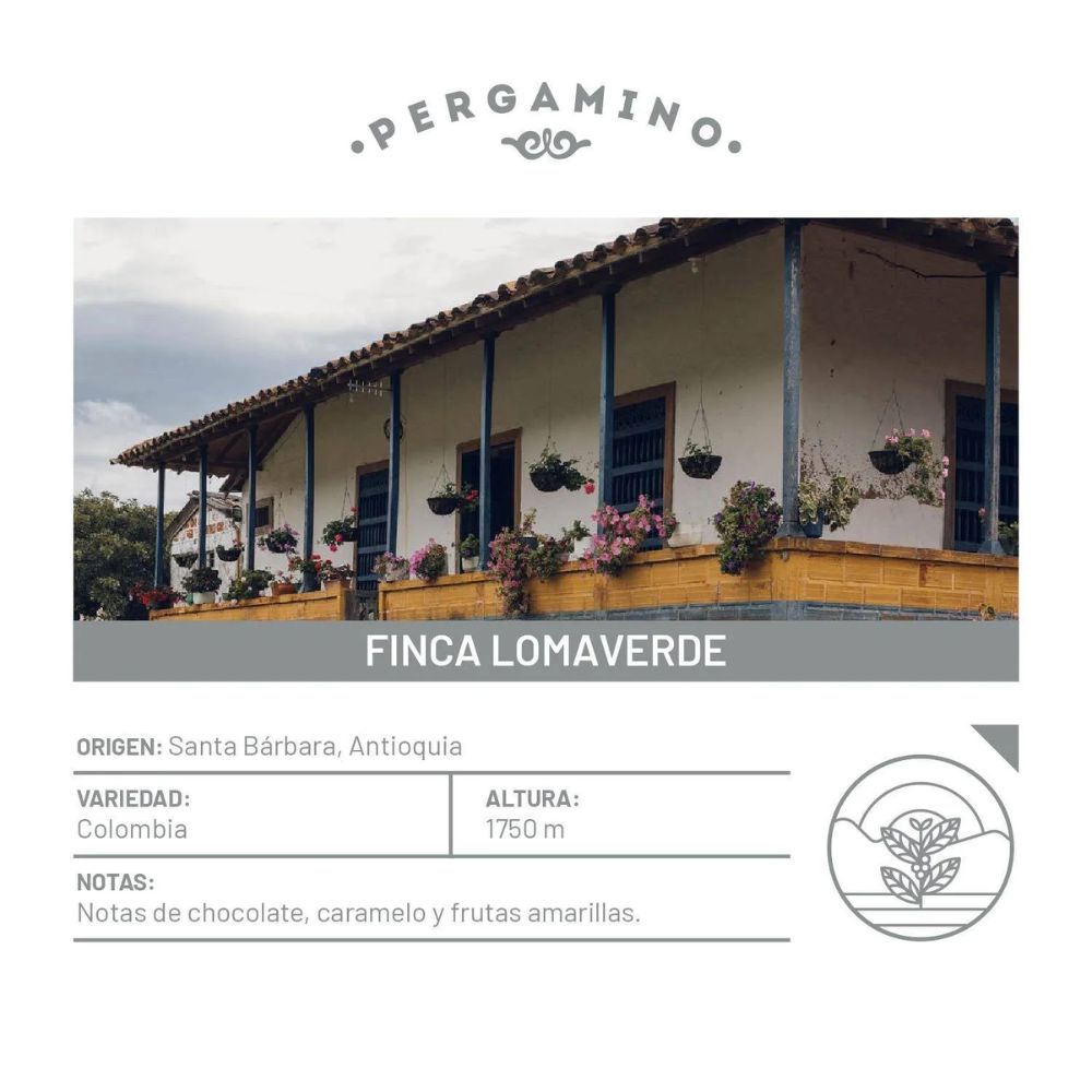 Cafe pergamino en grano entero Te negro Tolima, ciruela, cana de azucar y un toque de mandarina Pergamino Cafe colombiano Cafe en grano entero Cafe colombiano (12.6)