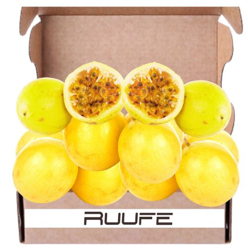 Yellow Passion fruit (11 pack) Maracuya fruta Fresh passion fruit Fruta fresca