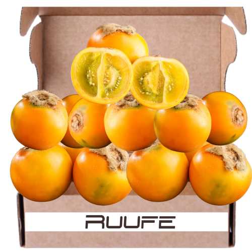 Naranjilla Orange fruit (11 pack) Lulo fruit fruta fresca Fresh Solanum quitoense lulo Exotic fruit